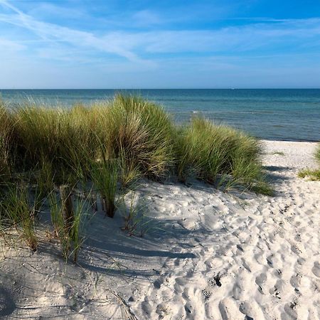 فيلا Daenische Ferienhaeuser Am Salzhaff Haus Pacific إنسيل بويل المظهر الخارجي الصورة