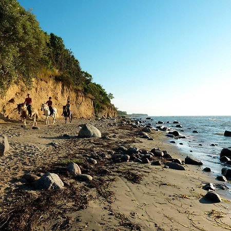 فيلا Daenische Ferienhaeuser Am Salzhaff Haus Pacific إنسيل بويل المظهر الخارجي الصورة