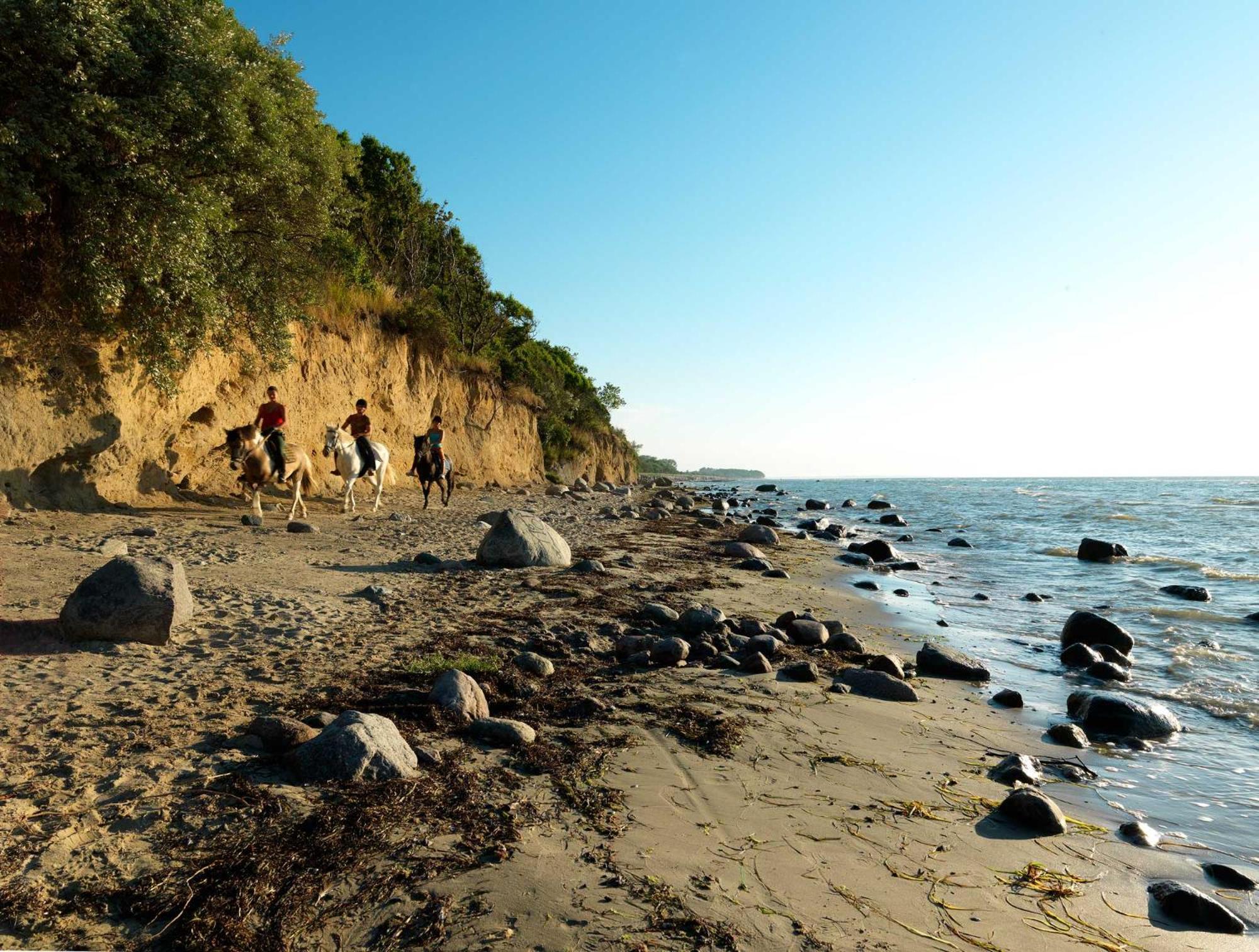 فيلا Daenische Ferienhaeuser Am Salzhaff Haus Pacific إنسيل بويل المظهر الخارجي الصورة